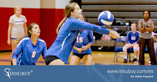 Los árbitros y ayudantes en el voleibol. Seguro De Viaje Para Voleibol