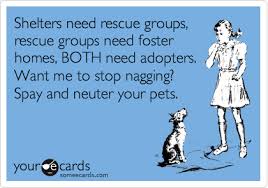 It's not a dog people, but it still needs rescue. 70 Spay And Neuter Ideas Neuter Spay Pets