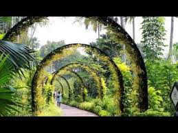 Orchard hotel singapore in ihren listen speichern. Botanischer Garten Singapur Die Grune Seele Der Metropole Celebratesg50 Youtube