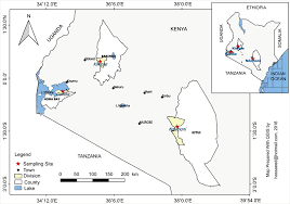 Image result for Terminalia kilimandscharica