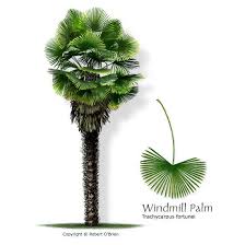Check spelling or type a new query. Pin On Maya Tropical