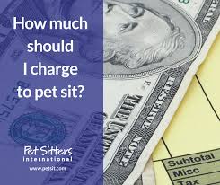 In home pet sitting prices. How Much Should I Charge To Pet Sit