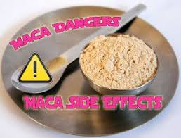 Maca Side Effects Maca Powder Benefits Maca Powder Benefits Maca Maca Powder