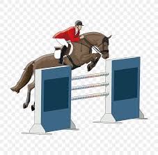 Funny equestrian sport.set of vector illustrations. Horse Equestrianism Show Jumping Drawing Illustration Png 800x800px Horse Animal Sports Animation Bridle Cartoon Download Free