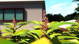 Maybe you would like to learn more about one of these? Feit Electric Full Spectrum Led A19 Plant Grow Light Bulb Canadian Tire
