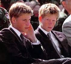 The two brothers, who have been in news for their reported rift, were later joined by their father prince. Prince William Photo Young William Harry Princess Diana Pictures Prince William Prince William Young