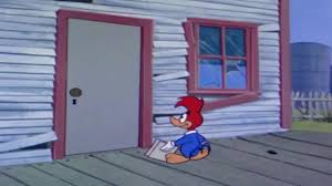 Seguro contra discurso sem noção do noivo