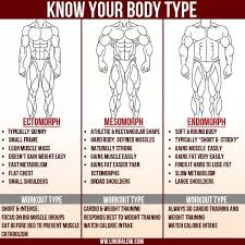 Check spelling or type a new query. Human Physiology How To Find Out Your Body Type Quora