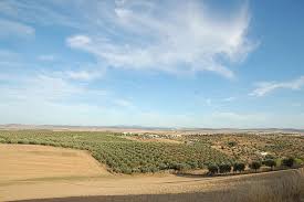Trova immagini stock hd a tema paesaggio estivo soleggiato. Portogallo Alentejo Europa Paesaggio Soleggiato Cielo Blu Verde Panoramico Scena Rurale Pikist