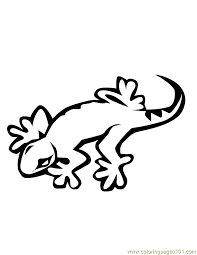 We would like to show you a description here but the site won't allow us. Lizard Coloring Page For Kids Free Lizard Printable Coloring Pages Online For Kids Coloringpages101 Com Coloring Pages For Kids