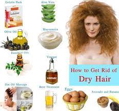 Dry Damaged Hair Care Tips Home Remedies For Dry Hair Split Ends Natural Trea Damage Hair Care Dry Brittle Hair Homemade Hair Products
