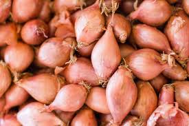 La cipolla la cipolla è uno degli ortaggi a bulbo più coltivati ed utilizzati in cucina. Scalogno Proprieta Benefici E Controindicazioni