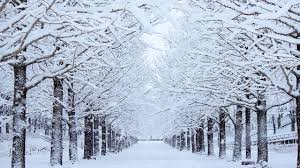 Collection by carolyn argabright • last updated 1 day ago. How Cold Is Winter In Japan Wattention Com