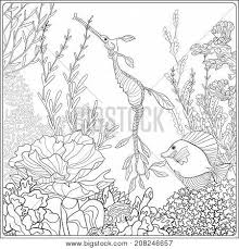 Beautiful patterns adult coloring books designs (sacred mandala designs and patterns coloring books for adults) (volume 16): Adult Coloring Book Vector Photo Free Trial Bigstock