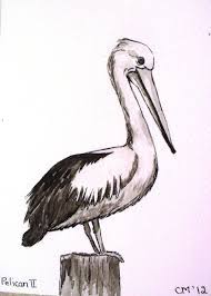 Drawing Of Pelican On Post Google Search Pelican Art Colorful Oil Painting Pelican Tattoo