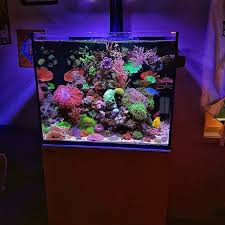 This Is A Tutorial On The Coralife Biocube 29 Gallon Upgrades And Mods Lighting Skimmers Powerheads Saltwater Fish Tanks Biorb Fish Tank Tropical Fish Tanks