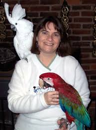 Northeast Bird Clinic Veterinarian Avian Ashford