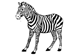 Coloriage Zebre Coloriages Gratuits A Imprimer Dessin 17394