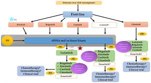 Image result for ALK Inhibitor
