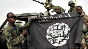 In june 2019, the group attacked two military bases in the towns of marte and kirenowa, near the borno state capital. Read Haram Iswap Related African News From Africa Daily News