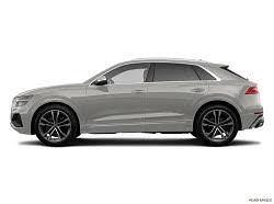 Image result for Vicuna Beige 2023 SQ8