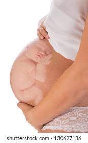 Baby Inside Belly Images Stock Photos Vectors Shutterstock