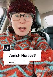 Daniel Amish Horse