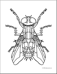Butterfly coloring pages are created both for toddlers who are just starting to explore the world around them, and for older children with many small details. Clip Art Insects Housefly Coloring Page Abcteach Coloring Pages Art Clip Art
