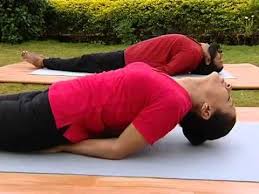 Matsyasana Fish Pose Yoga Pose Fish Pose Fish Pose Yoga Yoga Poses