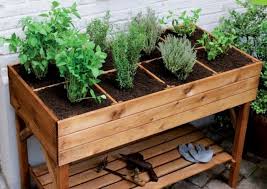 Potager En Hauteur 25 Photos Qui Montrent L Exemple Potager Sureleve Petit Potager Carre Potager