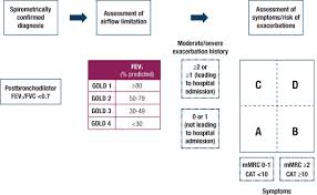 Image result for COPD Exacerbation Decision Tool