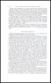 Image result for Agrocharis incognita