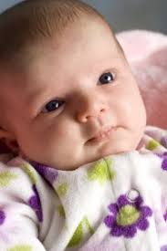 Quarterly Newsletter, Q2 2011