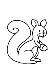 Ausmalbild eichhörnchen frisst eine nuss. Malvorlage Eichhornchen Kostenlose Ausmalbilder Zum Ausdrucken Bild 17622