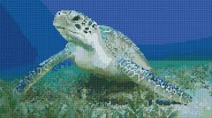 Ann Logan 10 Free Patterns Online Sea Turtle 3488