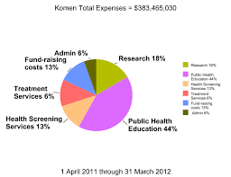 The Komen Organization In Numbers And Words Telling Knots