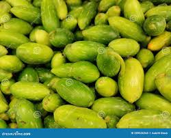 Image result for Coccinia