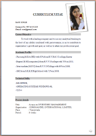 Job Application Sample Resume Pdf