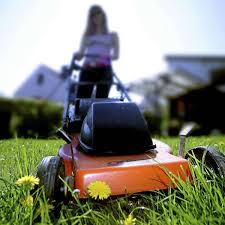 Dann lies unsere tipps für schnellleser. Nicht Immer Darf Es Im Garten Knattern Northeim