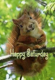 images?q=tbn:ANd9GcRhVH6tMgTCqgwPoZVmtFnpXovqClTOecus7D4PJgnfVxDo6-Kb