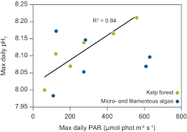 Image result for Kelp Green 2007 S-Max