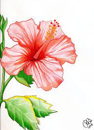 Pin On Watercolor