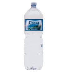 Image result for Tinnea