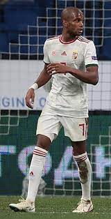 Fifa 21 | all 23 licensed competitions ft. Loic Nego Wikipedia