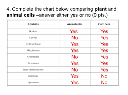 Worksheet Chapter 3 Review Biology Directions Answer The