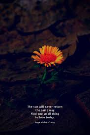 Time For Stillness Nature Quotes Beautiful Nature Quotes Soul Quotes