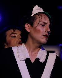 LAS CRIADAS, EROTIZANDO A UN PODER PARANOICO /Jhonatan Salazar Achig — El  Apuntador