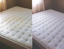No doubt, it's disgusting and frustrating to remove these stains out from the mattresses. How To Clean Dried Urine From A Mattress Red Hanger