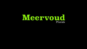 Afrikaans Meervoude Plurals Part 1 Of 2 Youtube