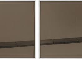 Bildergebnis für Shahin Afrassiabi